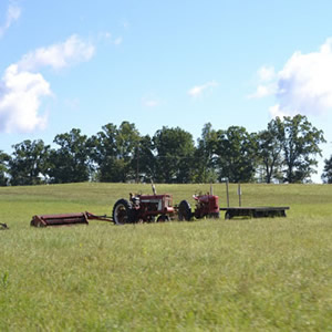 Clearfied County
