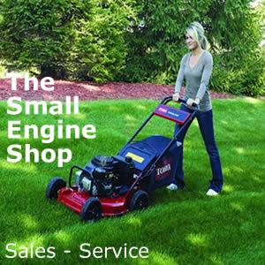The Small Engine Shop